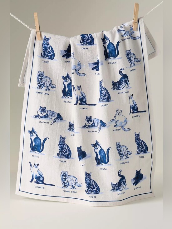 Anthropologie Other - Anthropologie Molly Hatch Dish Towel